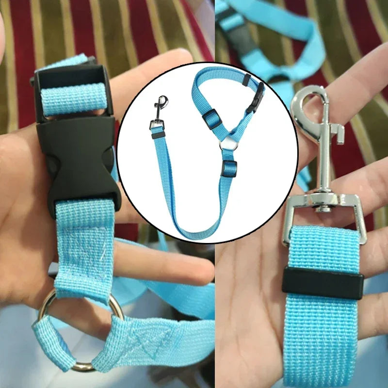 Pet Car Seat Belt and Harness Combo