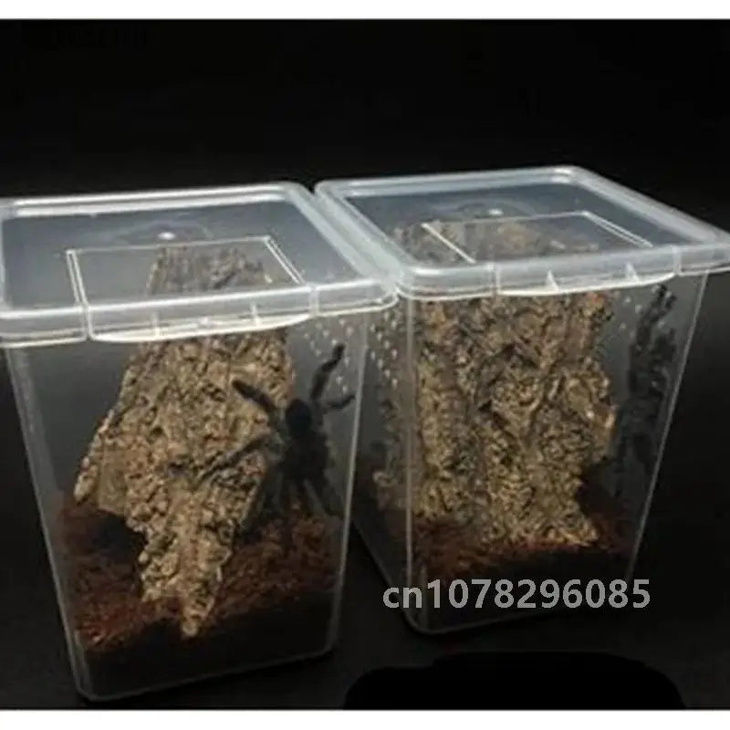 Reptile Feeding Box & Insect Breeding Container