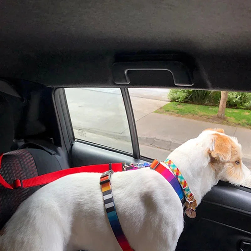 Pet Car Seat Belt and Harness Combo