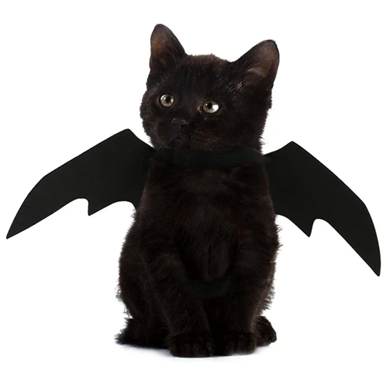Halloween Pet Costume Black Bat Wings Harness