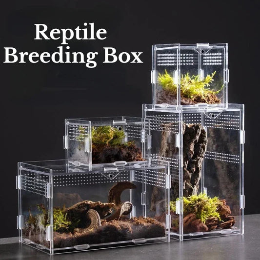 Reptile Habitat Acrylic Case Enclosure