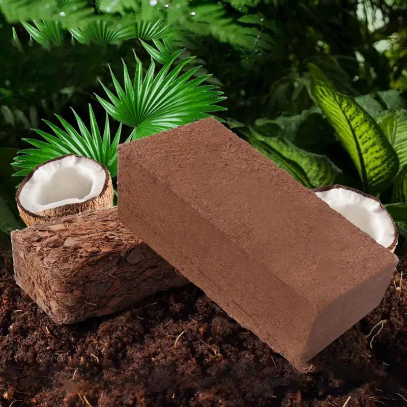 Natural Coco-Peat Substrate