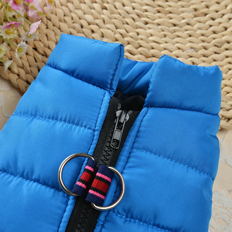 Winter Pet Jackets