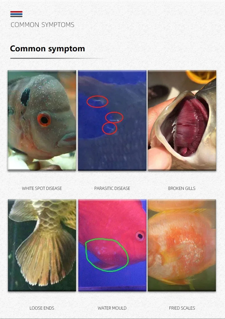 Methylene Blue (Aquarium Fungal Solution)
