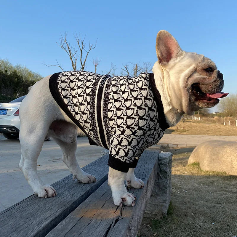 Trendy Pet Sweater
