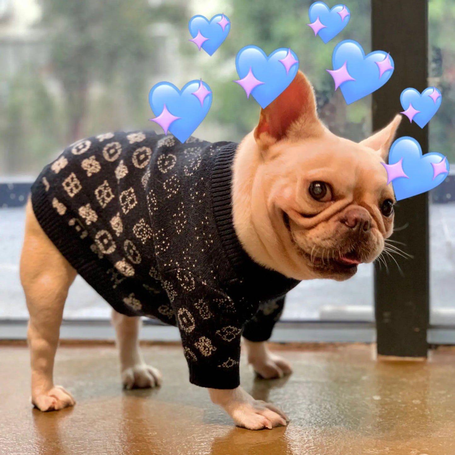 Luxury Winter Clothes For Small Dogs