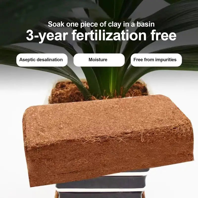 Natural Coco-Peat Substrate