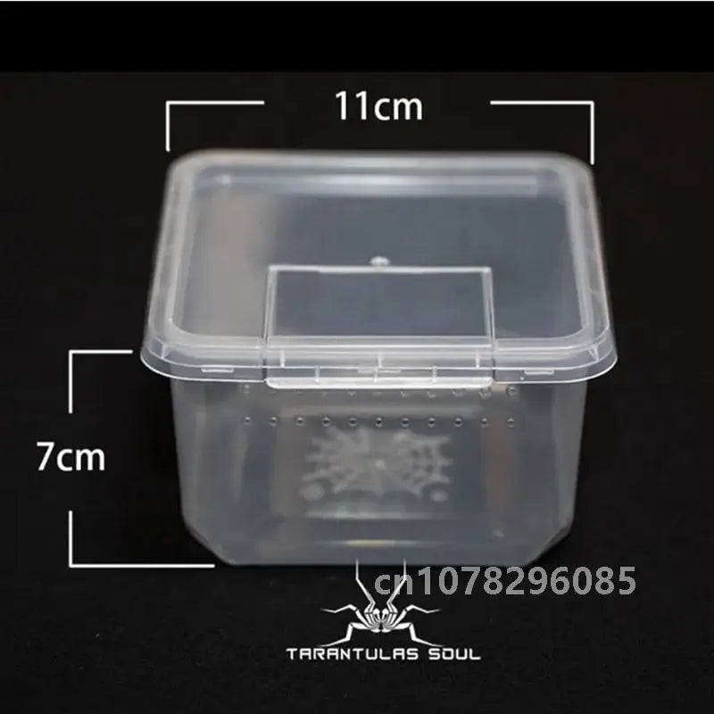 Reptile Feeding Box & Insect Breeding Container