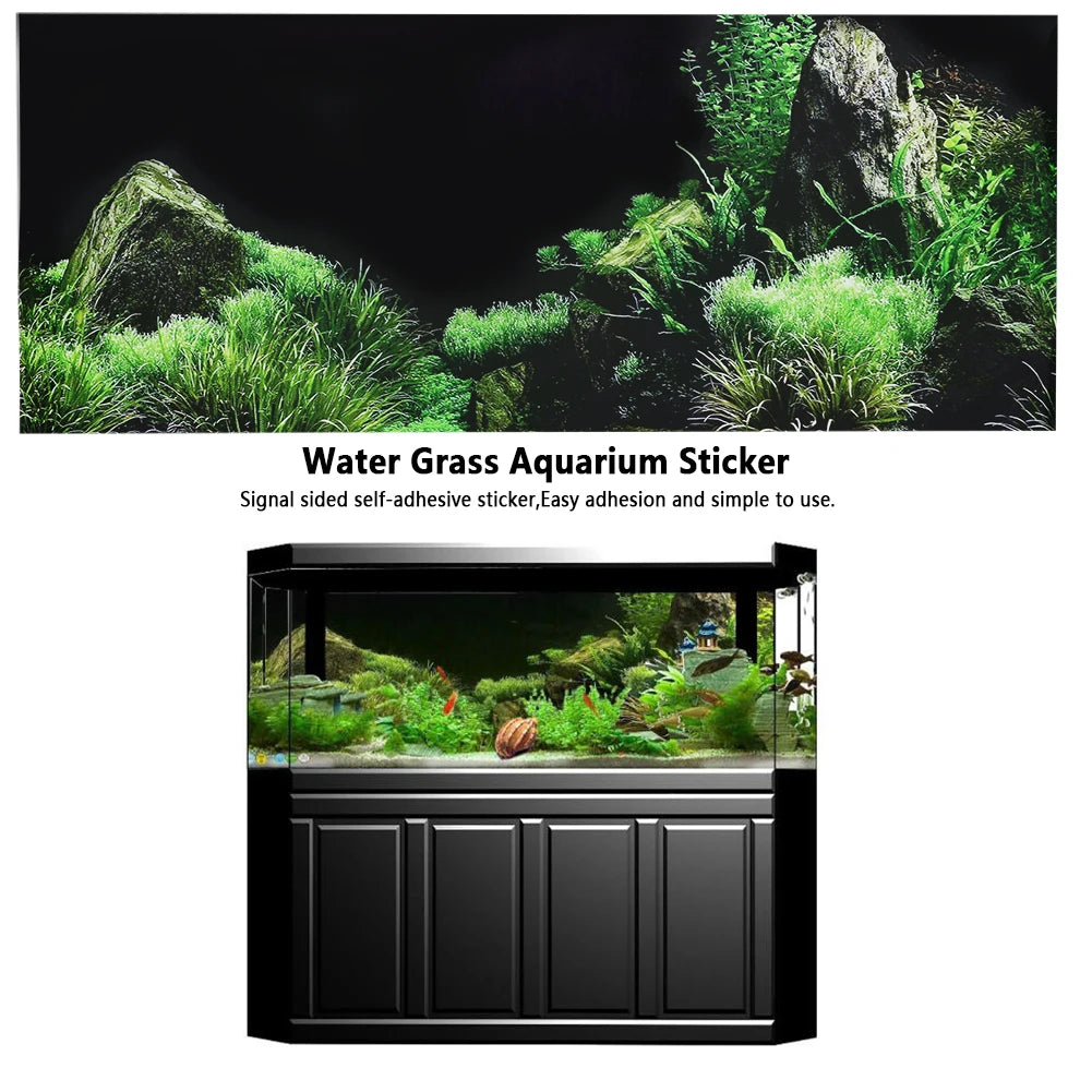 Aquarium Background