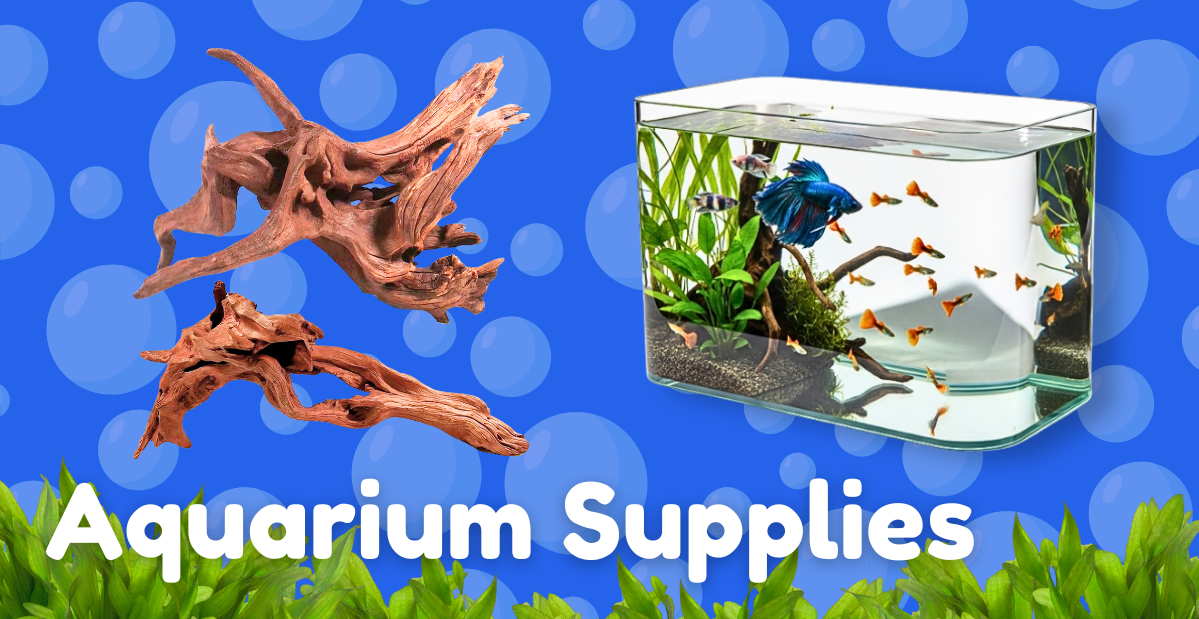 Aquarium Supplies