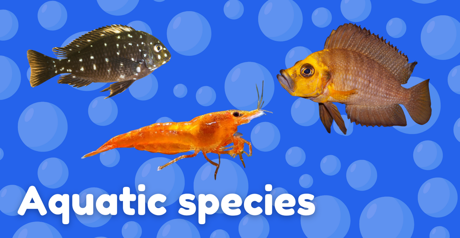 Aquatic species