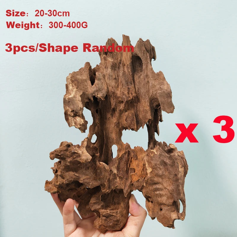 48901899878686