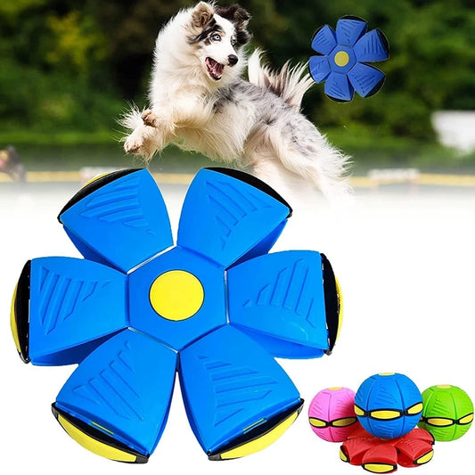 Dog Saucer Ball