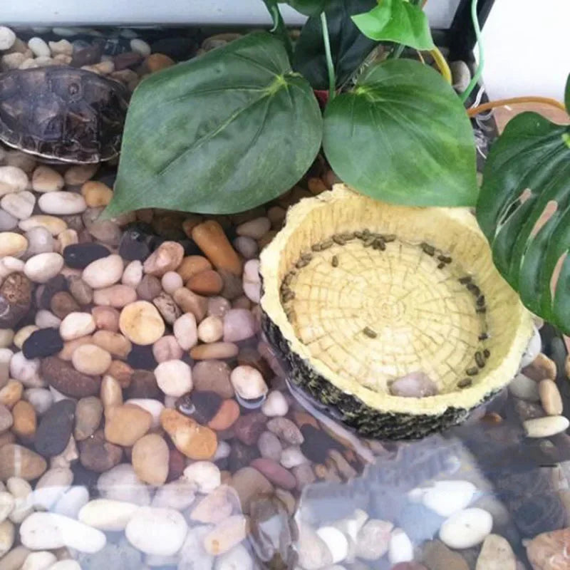 Reptile Resin Feeding Bowl