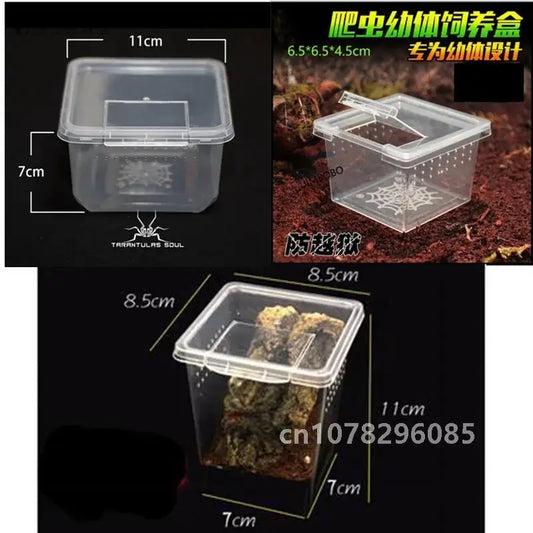 Reptile Feeding Box & Insect Breeding Container