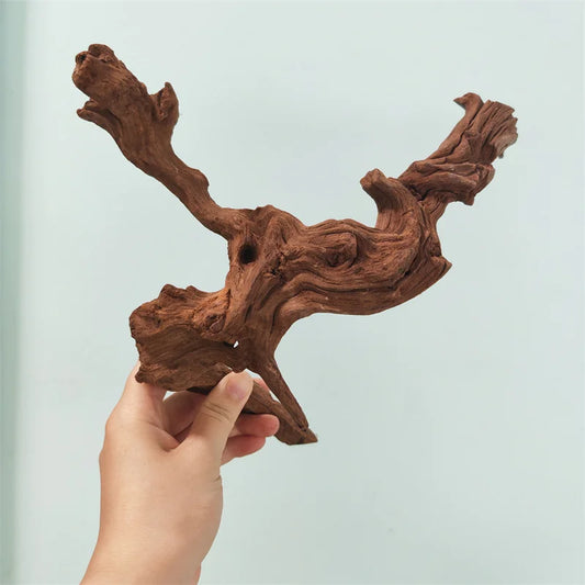 Natural Tree Driftwood