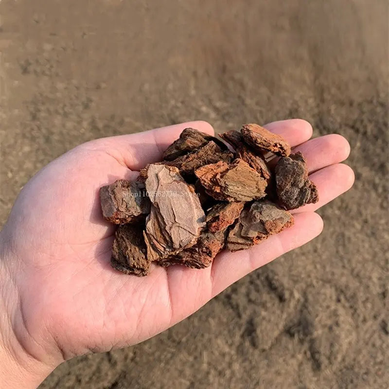 Fermented Pine Bark