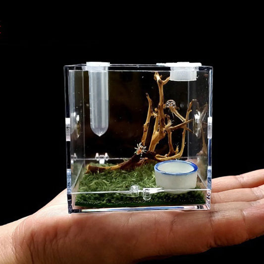Small Clear Acrylic Habitat