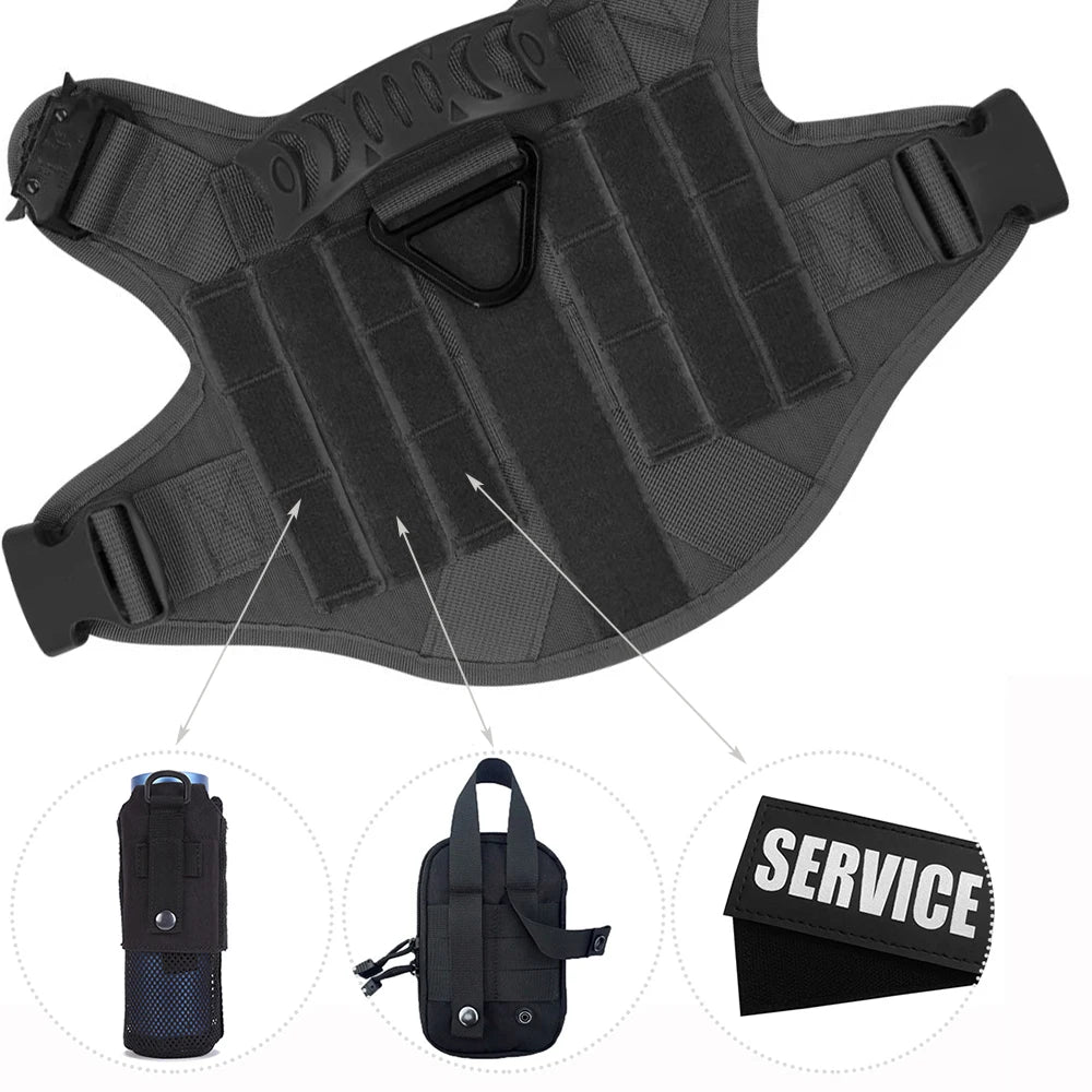 Dog Harness And Leash Set