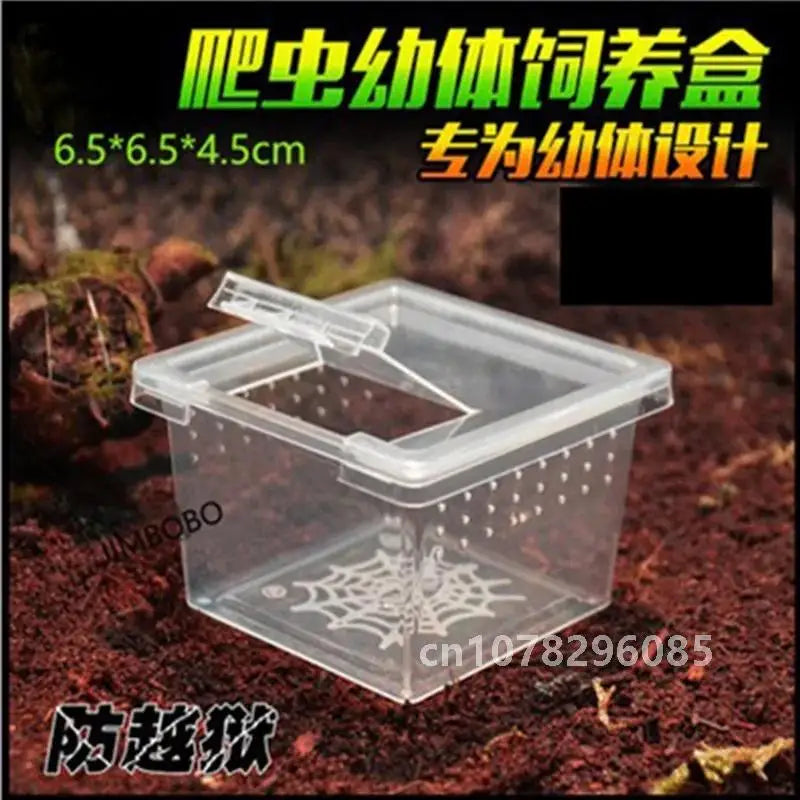 Reptile Feeding Box & Insect Breeding Container