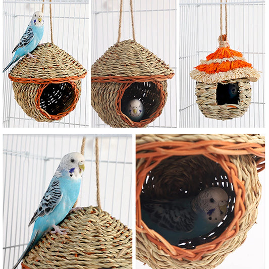 Woven Grass House
