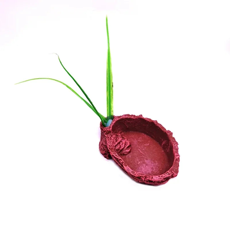 Reptile Resin Feeding Bowl