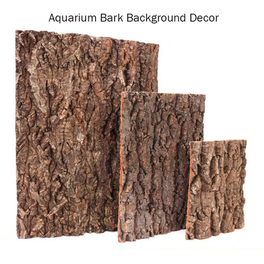 Tree Bark Terrarium Decoration