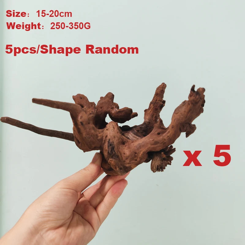 49048812159262